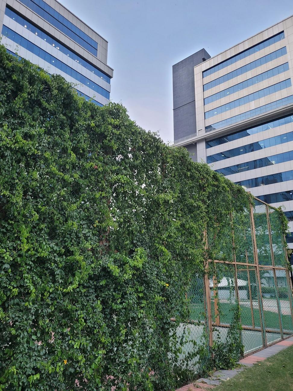 Green Commercial Building